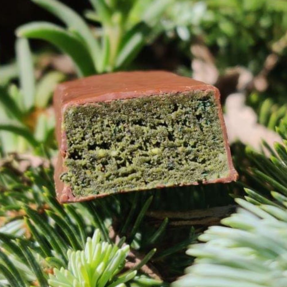 Barretta verde vegana con arachidi e spirulina, senza glutine, singola - PROLINEA